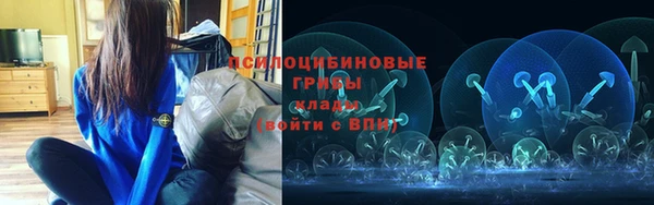 трава Дмитров