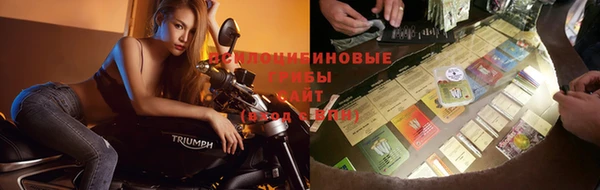гашик Алзамай