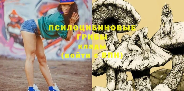 гашик Алзамай