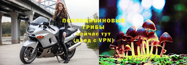 герыч Алексеевка