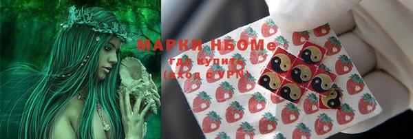 гашик Алзамай
